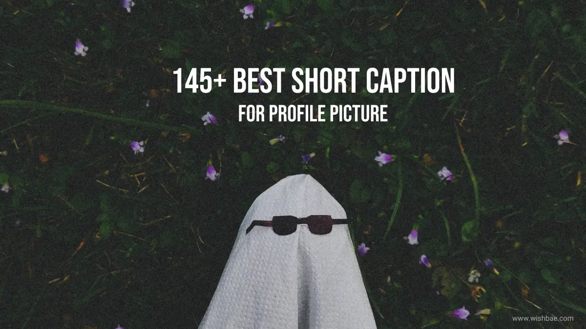 200+ Short Captions for Profile Pictures - TurboFuture