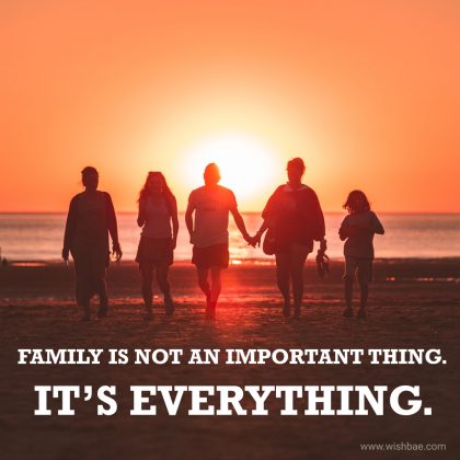 Amazing Collection of Blended Family Quotes - WishBae.Com