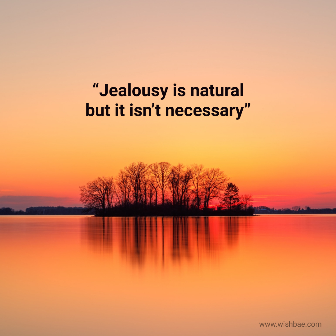 Jealousy Quotes For Haters Or Overcome Your Envy Wishbaecom