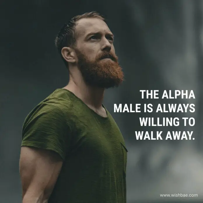 Inspiring Alpha Male Quotes and Captions for Instagram 2023